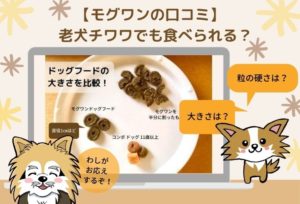 チワワはモグワンを食べないは嘘！実際に試した高齢犬も食べた方法と購入者の口コミ＆評判まとめ