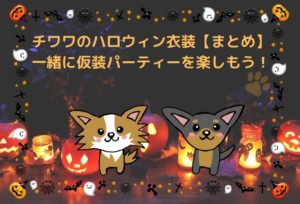 チワワのハロウィン衣装【まとめ】一緒に仮装パーティーを楽しもう！
