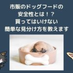 買ってはいけないドッグフードの簡単な見分け方を教えます!市販フードの安全性と危険性
