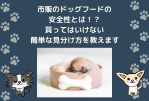 買ってはいけないドッグフードの簡単な見分け方を教えます!市販フードの安全性と危険性