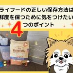 ドッグフードの正しい保存方法!鮮度を保つために気をつけたい4つのポイントを紹介
