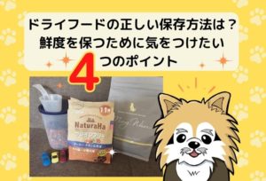ドッグフードの正しい保存方法!鮮度を保つために気をつけたい4つのポイントを紹介