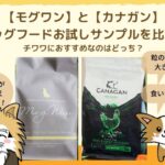 チワワにおすすめなのはモグワン!モグワンとカナガンの違いを比較検証してみました