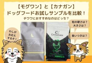 チワワにおすすめなのはモグワン！モグワンとカナガンの違いを比較検証してみました