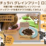 ナチュラハグレインフリーの口コミ&評判と老犬チワワに与えた私の評価!食いつき抜群の無添加ドッグフードを紹介