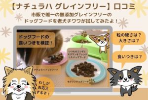 ナチュラハグレインフリーの口コミ＆評判と老犬チワワに与えた私の評価！食いつき抜群の無添加ドッグフードを紹介