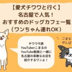 【愛犬チワワと行く】名古屋で人気!おすすめのドッグカフェ一覧(ワンちゃん連れOK)