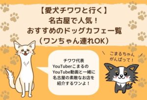 【愛犬チワワと行く】名古屋で人気!おすすめのドッグカフェ一覧(ワンちゃん連れOK)