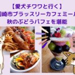 【愛犬チワワと行く】岡崎市ブラッスリーカフェミールの口コミ！話題のミールカフェで秋のぶどうパフェを堪能
