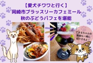 【愛犬チワワと行く】岡崎市ブラッスリーカフェミールの口コミ！話題のミールカフェで秋のぶどうパフェを堪能