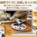 馬肉自然づくりお試しセットの口コミ!人気ドッグフードを老犬チワワに与えた私の感想を紹介します