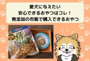愛犬に与えたい安心できるおやつ。無添加の市販で購入できるおやつ【まとめ】