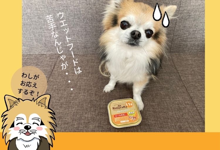 ナチュラハグレインフリーの口コミ＆評判と老犬チワワに与えた私の評価！食いつき抜群の無添加ドッグフードを紹介 - チワワえん