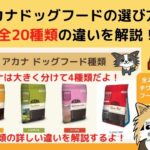 【最新】アカナドッグフード全20→19種類の違いと選び方!最適なフードがすぐに分かります