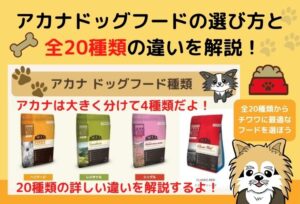 【最新】アカナドッグフード全20→19種類の違いと選び方!最適なフードがすぐに分かります
