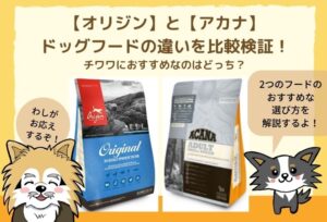 アカナとオリジンの違いを比較検証!実際にお試しセットを購入した感想をまとめました