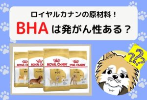 ロイヤルカナンを食べてはいけないは嘘！発がん性はなかった気になるBHAの正体を解明します
