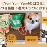 yum yum yum!(ヤムヤムヤム)お試しセットは食いつき抜群!シニア犬チワワに試した私の感想