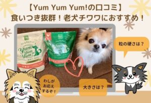 yum yum yum!（ヤムヤムヤム）お試しセットは食いつき抜群！シニア犬チワワに試した私の感想
