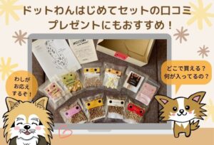 ドットわんはじめてセットの口コミ！10種類の商品が入ったお試しセットは大満足の逸品