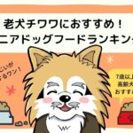 老犬チワワ(7歳以上の高齢犬)におすすめ!シニア向け半生ドッグフードランキング3選