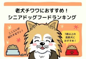 老犬チワワ（7歳以上の高齢犬）におすすめ！シニア向け半生ドッグフードランキング3選