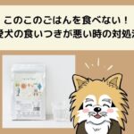 このこのごはんを食べない！愛犬の食いつきが悪い時の対処法