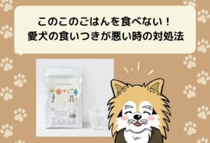 このこのごはんを食べない!愛犬の食いつきが悪い時の対処法