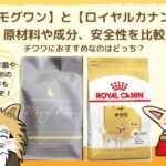 モグワンとロイヤルカナンを比較！人気のドッグフードの違いを検証してみました