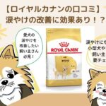 ロイヤルカナンで涙やけの改善は難しい!愛犬の悩みにより効果的なドッグフードを紹介します