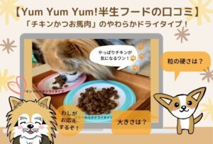 yum yum yum!(ヤムヤムヤム )やわらかドライタイプの口コミ!チキンかつお馬肉お試し3点セットを愛犬に与えた感想