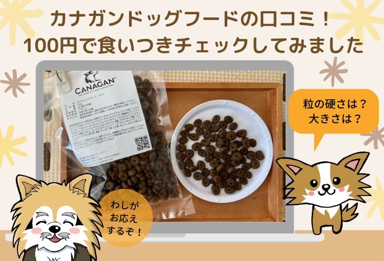 カナガンドッグフードの100円モニター体験!お試しセットを購入した私の口コミ&感想