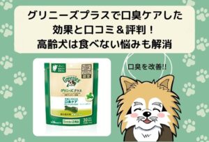 グリニーズプラスで愛犬の口臭ケアした効果と口コミ＆評判！高齢犬は食べない悩みも解消