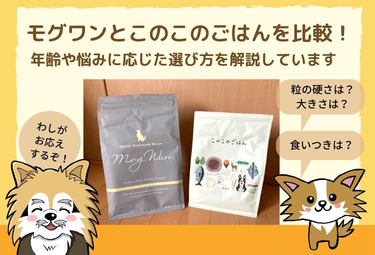 モグワンとこのこのごはんを比較!年齢や悩みに応じた選び方を解説しています