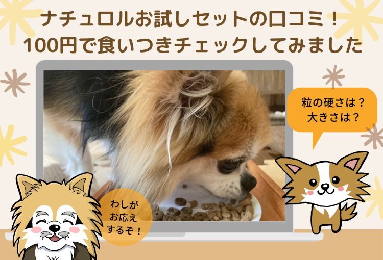 ナチュロルお試しセットの感想レポート！100円で愛犬の食いつきチェックができるモニター体験談