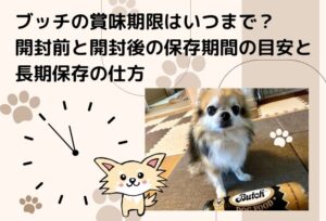 ブッチの賞味期限はいつまで?開封前と開封後の保存期間の目安と長期保存の仕方