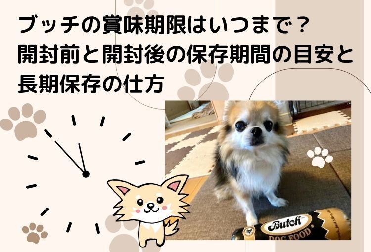 ブッチの賞味期限はいつまで？開封前と開封後の保存期間の目安と長期保存の仕方