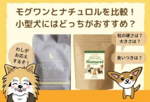 モグワンとナチュロルの違いを比較！小型犬におすすめのフードはどっち？