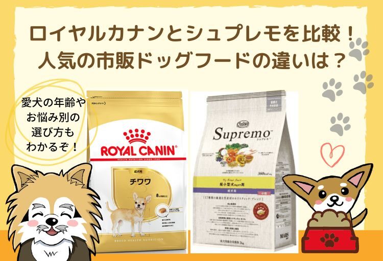 ロイヤルカナンとシュプレモを比較！人気のドッグフードの違いを検証します