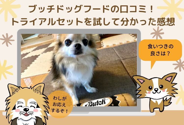 ブッチドッグフードの口コミ!実際にトライアルセットをお試しして分かった私の感想