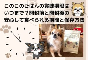 このこのごはんの賞味期限はいつまで?開封前と開封後の安心して食べられる期間と保存方法