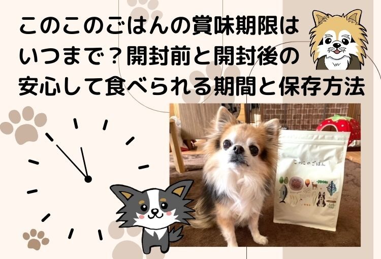 このこのごはんの賞味期限はいつまで?開封前と開封後の安心して食べられる期間と保存方法