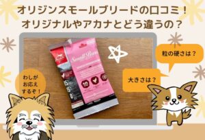 オリジンスモールブリードの口コミ！オリジンオリジナルやアカナスモールブリードとどう違うの？
