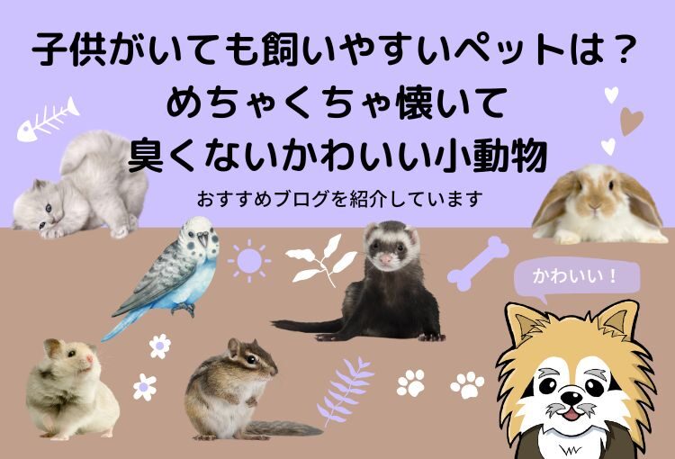 子供がいても飼いやすいペットは?めちゃくちゃ懐いて臭くないかわいい小動物