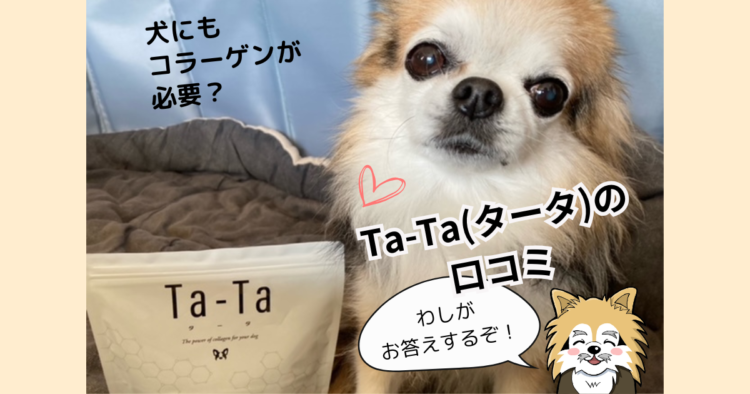 犬にもコラーゲンが必要?シニア犬の健康をサポートするTa-Ta(タータ)の口コミ
