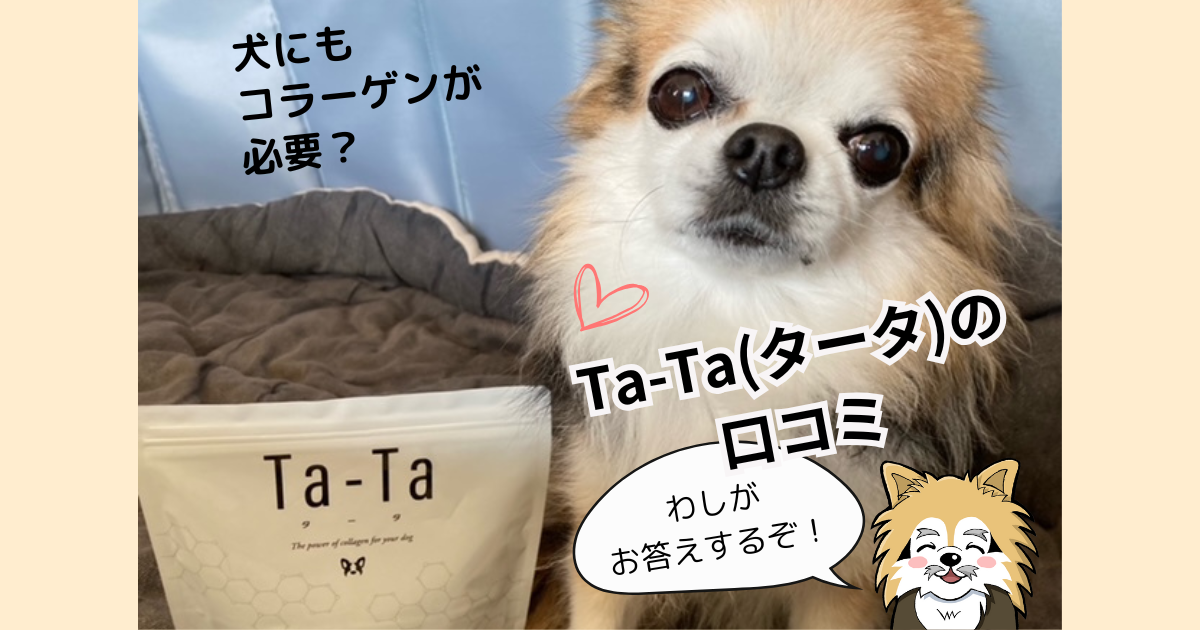 犬にもコラーゲンが必要？シニア犬の健康をサポートするTa-Ta（タータ）の口コミ