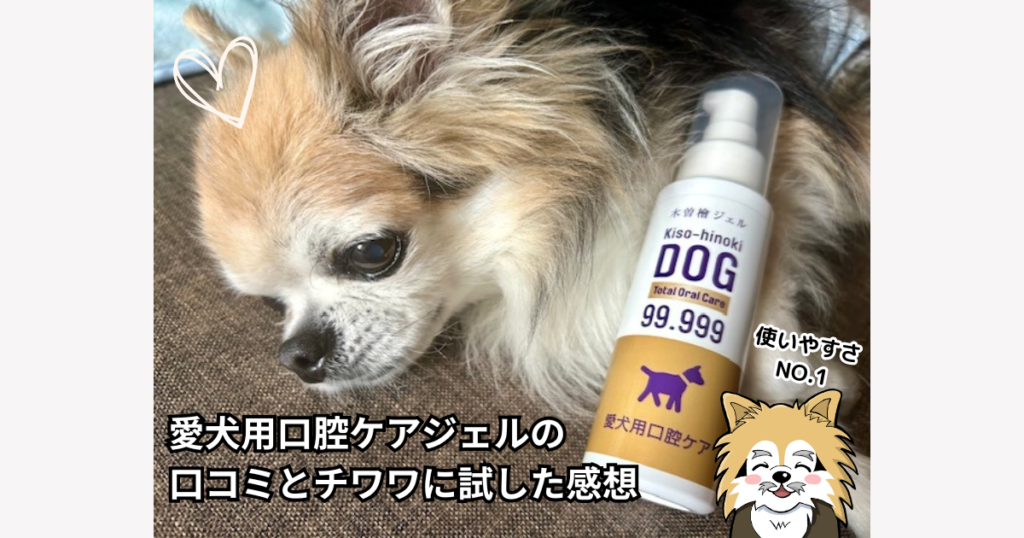 愛犬用口腔ケアジェルの口コミ!チワワに試した感想をレビュー「どこで売ってるの!?」