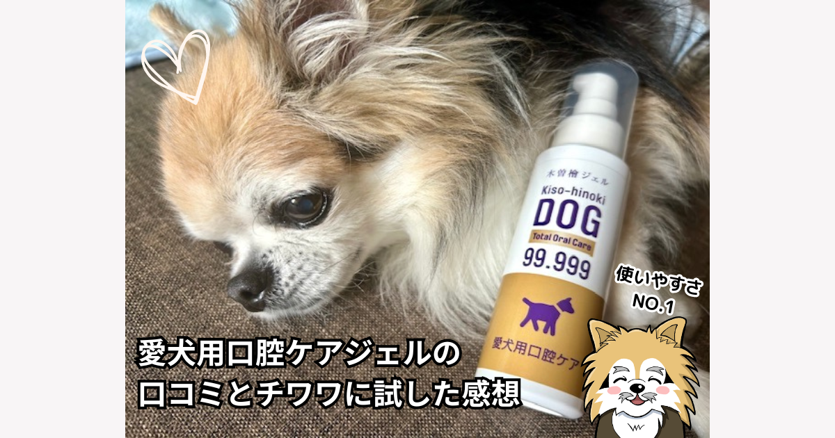 愛犬用口腔ケアジェルの口コミ！チワワに試した感想をレビュー「どこで売ってるの!?」