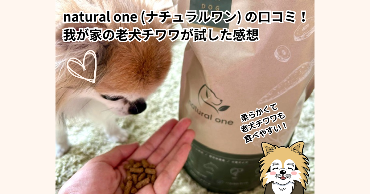 natural one（ナチュラルワン）の口コミ！我が家の老犬チワワが試した感想