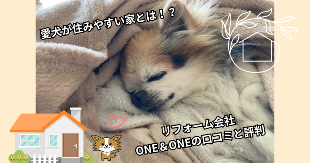 愛犬が住みやすい家とは!?リフォーム会社ONE&ONEの口コミと評判
